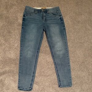 Democracy Blue Skinny Jeans